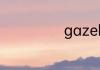 gazelle什么意思