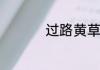 过路黄草药功效有哪些