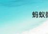 蚂蚁微贷是什么