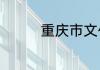 重庆市文化宫是什么单位