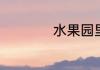 水果园里有哪些水果