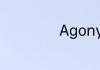 Agony网名啥意思