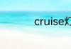cruise灯亮是什么意思