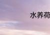 水养荷花竹怎么养