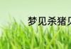 梦见杀猪见血是什么意思
