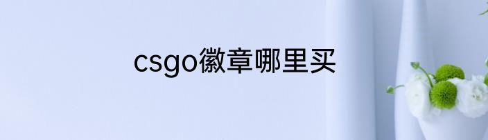 csgo徽章哪里买
