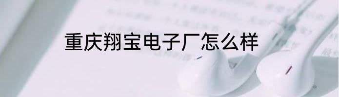 重庆翔宝电子厂怎么样