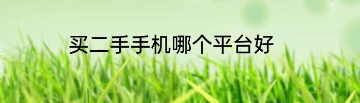 买二手手机哪个平台好