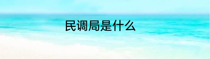 民调局是什么