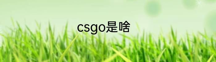 csgo是啥