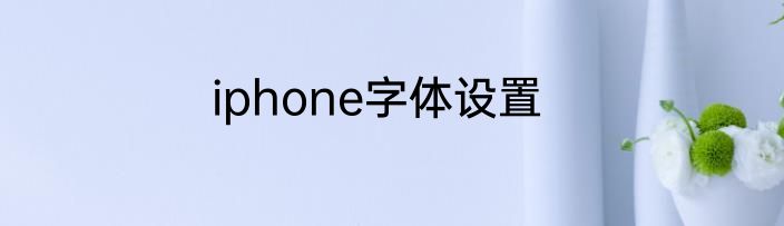 iphone字体设置