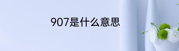 907是什么意思