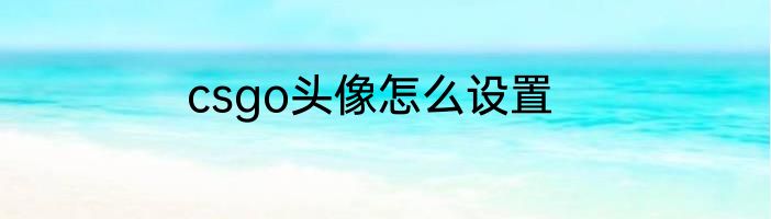 csgo头像怎么设置