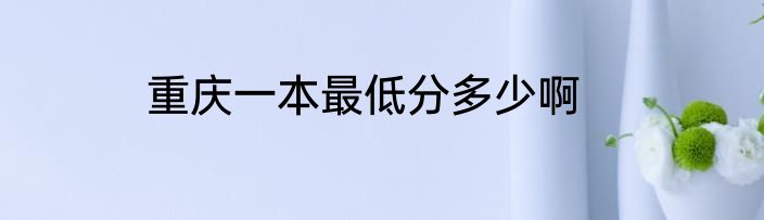 重庆一本最低分多少啊