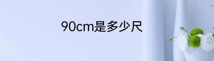 90cm是多少尺