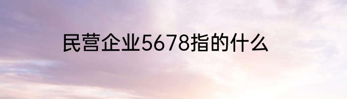 民营企业5678指的什么