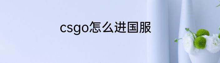 csgo怎么进国服