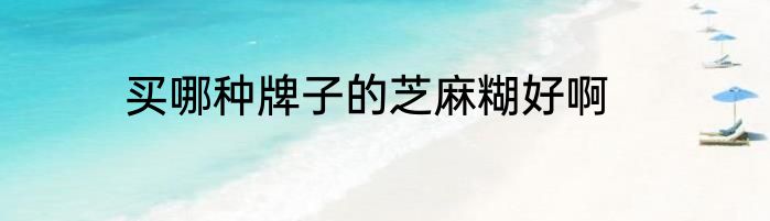 买哪种牌子的芝麻糊好啊
