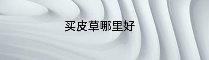 买皮草哪里好