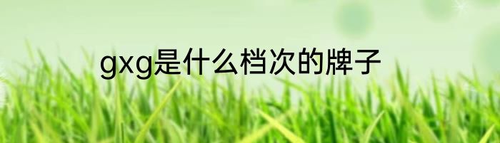 gxg是什么档次的牌子