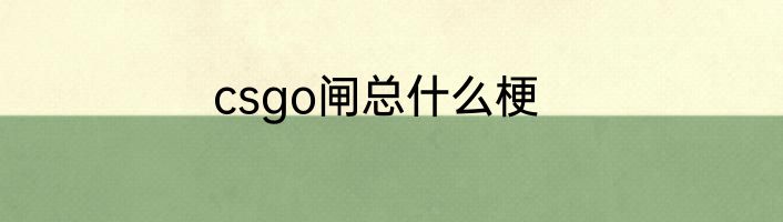 csgo闸总什么梗