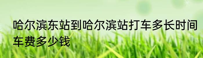 哈尔滨东站到哈尔滨站打车多长时间车费多少钱
