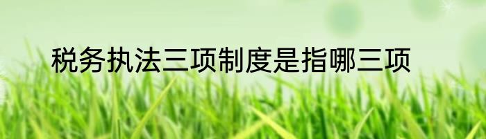 税务执法三项制度是指哪三项