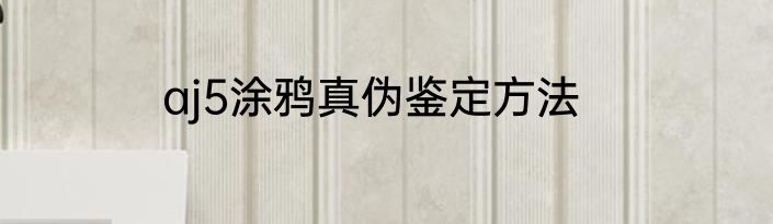 aj5涂鸦真伪鉴定方法