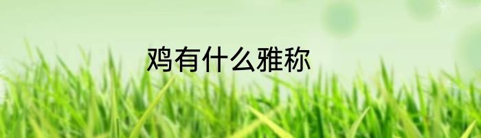 鸡有什么雅称
