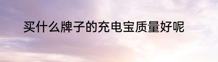 买什么牌子的充电宝质量好呢
