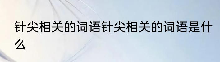 针尖相关的词语针尖相关的词语是什么