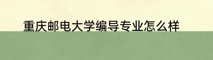 重庆邮电大学编导专业怎么样