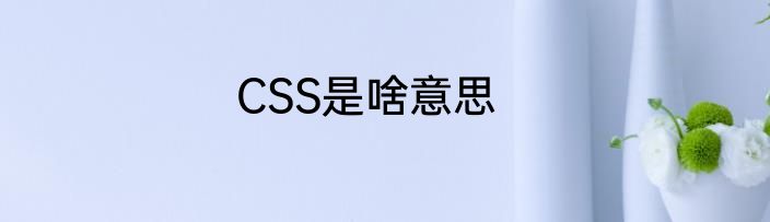 CSS是啥意思