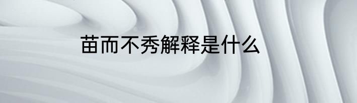 苗而不秀解释是什么