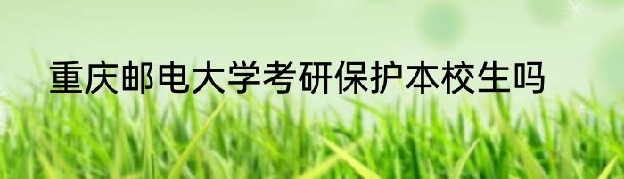 重庆邮电大学考研保护本校生吗