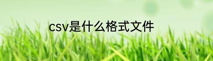 csv是什么格式文件