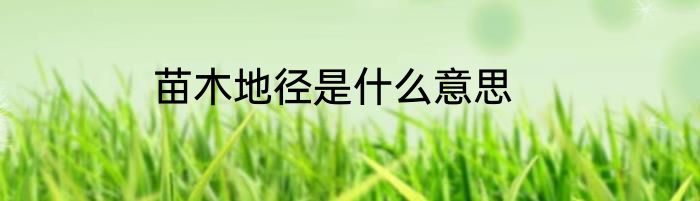 苗木地径是什么意思