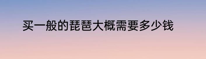 买一般的琵琶大概需要多少钱