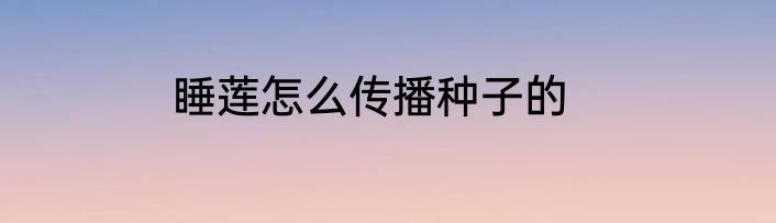 睡莲怎么传播种子的