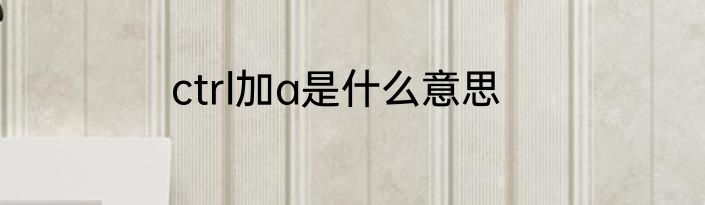 ctrl加a是什么意思