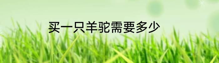 买一只羊驼需要多少