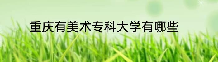重庆有美术专科大学有哪些