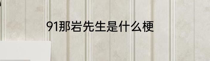 91那岩先生是什么梗