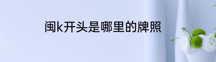 闽k开头是哪里的牌照