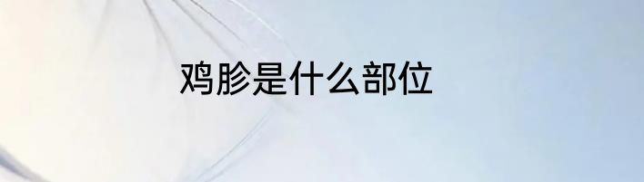 鸡胗是什么部位