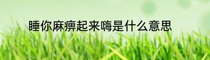 睡你麻痹起来嗨是什么意思