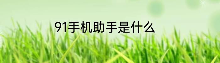 91手机助手是什么
