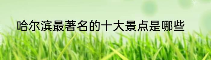 哈尔滨最著名的十大景点是哪些