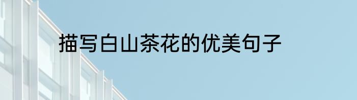描写白山茶花的优美句子