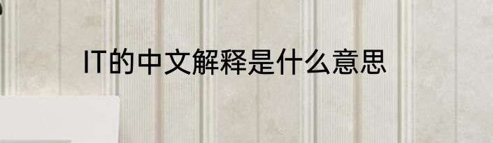 IT的中文解释是什么意思